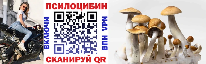 купить закладку Ипатово Псилоцибиновые грибы Psilocybine cubensis